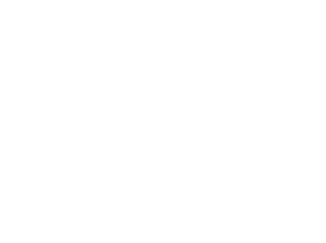 hakon logo